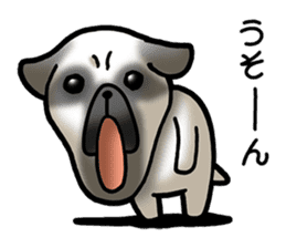 Decline pug dog sticker #3245972