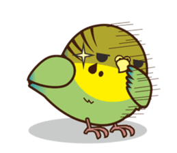 Miss Lovebird-Budgerigar in house sticker #3247270