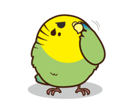 Miss Lovebird-Budgerigar in house sticker #3247298