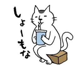 Mr.NECO & Kansai Dialect sticker #3251063