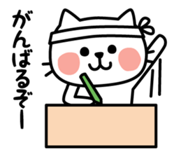Reply of cute cat sticker #3252607