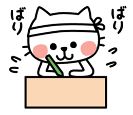Reply of cute cat sticker #3252608