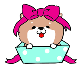 pretty shiba inu sticker #3252952