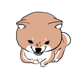 pretty shiba inu sticker #3252967