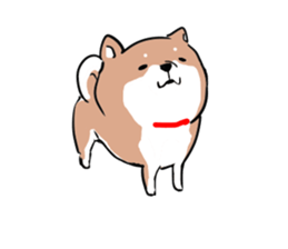 pretty shiba inu sticker #3252972
