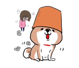 pretty shiba inu sticker #3252974