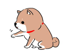 pretty shiba inu sticker #3252978