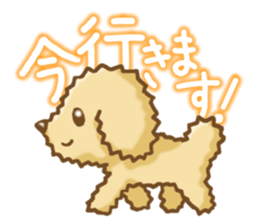 Sticker of the Poodle.Dog's Sticker. sticker #3254662