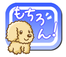 Sticker of the Poodle.Dog's Sticker. sticker #3254671