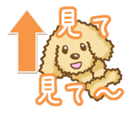 Sticker of the Poodle.Dog's Sticker. sticker #3254677