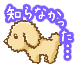 Sticker of the Poodle.Dog's Sticker. sticker #3254682