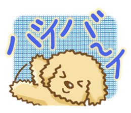Sticker of the Poodle.Dog's Sticker. sticker #3254689