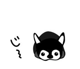 Kawaii dog,Dub sticker #3258018