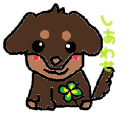 Miniature dachshund stickers sticker #3258899