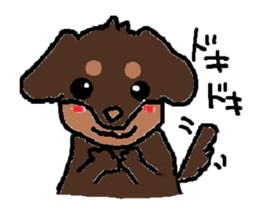 Miniature dachshund stickers sticker #3258901