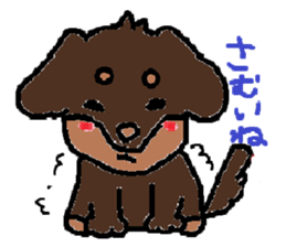 Miniature dachshund stickers sticker #3258903