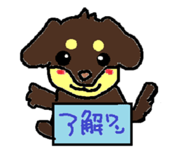 Miniature dachshund stickers sticker #3258909