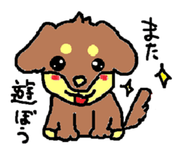 Miniature dachshund stickers sticker #3258910