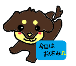 Miniature dachshund stickers sticker #3258911