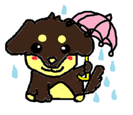 Miniature dachshund stickers sticker #3258913