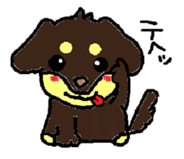 Miniature dachshund stickers sticker #3258915