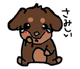 Miniature dachshund stickers sticker #3258917