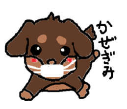 Miniature dachshund stickers sticker #3258918