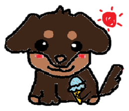 Miniature dachshund stickers sticker #3258923