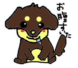 Miniature dachshund stickers sticker #3258927