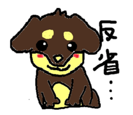 Miniature dachshund stickers sticker #3258930