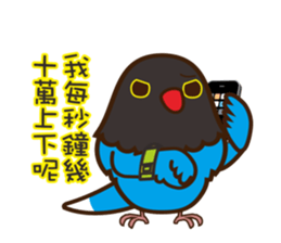 Miss Lovebird-Urocissa caerulea's life sticker #3262599