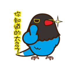 Miss Lovebird-Urocissa caerulea's life sticker #3262600