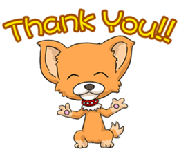 Chihuahua of dual personality sticker #3262698