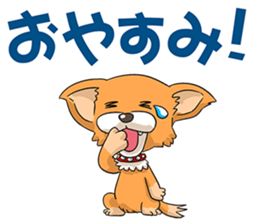 Chihuahua of dual personality sticker #3262710