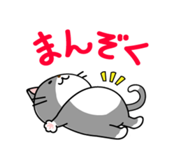 Sweet Cats Sticer sticker #3263997