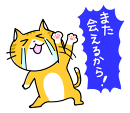 Sweet Cats Sticer sticker #3264007