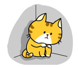 Sweet Cats Sticer sticker #3264011