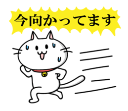 Sweet Cats Sticer sticker #3264017