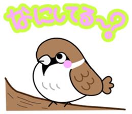 Thx! Is sparrow-chan. sticker #3264322