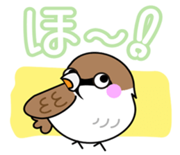 Thx! Is sparrow-chan. sticker #3264327