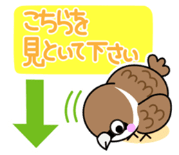 Thx! Is sparrow-chan. sticker #3264329