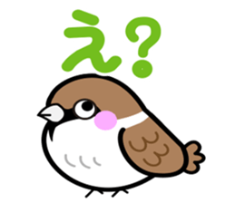 Thx! Is sparrow-chan. sticker #3264332