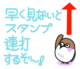 Thx! Is sparrow-chan. sticker #3264335