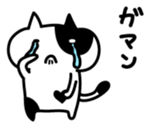 Black and white cat sticker #3265821