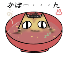 Cat like a rice ball sticker #3266349