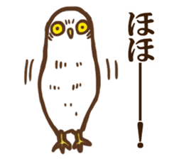 Ho-Ho Owl sticker #3268085