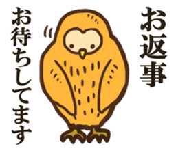 Ho-Ho Owl sticker #3268092