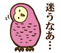Ho-Ho Owl sticker #3268098