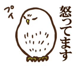 Ho-Ho Owl sticker #3268100