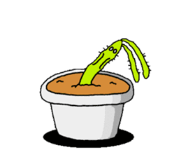 I am a cactus sticker #3270147